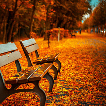 数据同步及时的ddos在线网页端